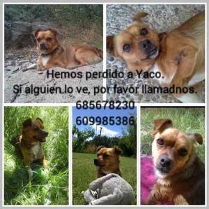 Yaco