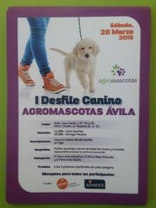I desfile canino