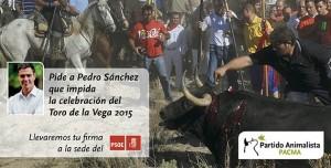 No al toro de la vega