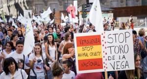 Manifestación contra el toro de la vega