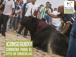Toro de la vega
