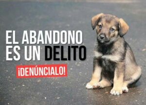 Abandono es delito
