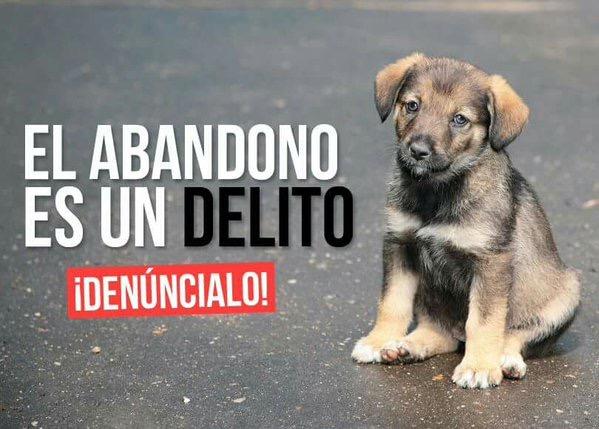 Abandono es delito