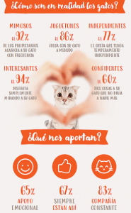 estudio gatos