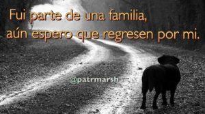 Soy de la familia