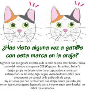 Imagen: www.hauxeda.com