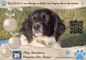 Felices fiestas amig@s